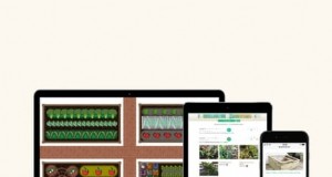 11 layout di orto collaudati per un raccolto abbondante 