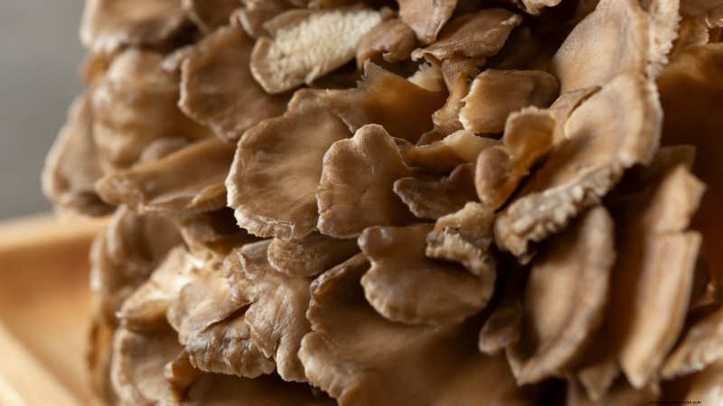 Cultivez 7 champignons populaires sur votre comptoir :un guide complet 