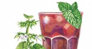 Cultive 15 hierbas frescas en el alféizar de la ventana de su cocina para obtener un sabor instantáneo 