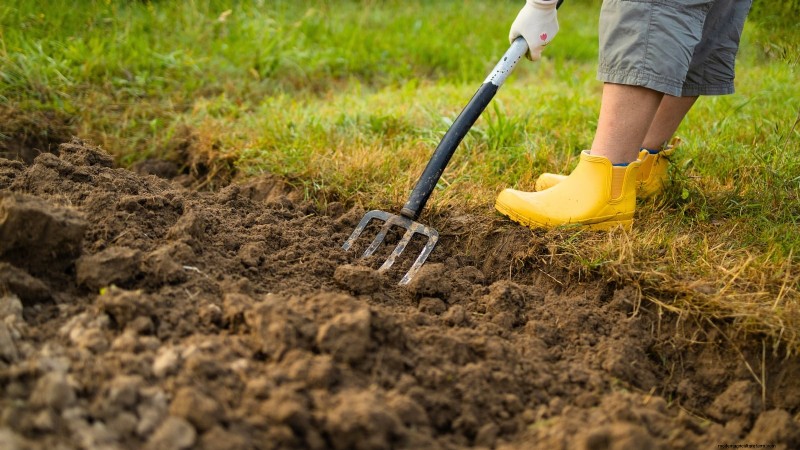 Att bemästra en grönsaksträdgård i USDA Zone 8:Experttips och beprövade strategier 