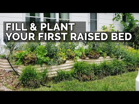 Zone7 Vegetable Gardening:En komplett nybörjarguide 