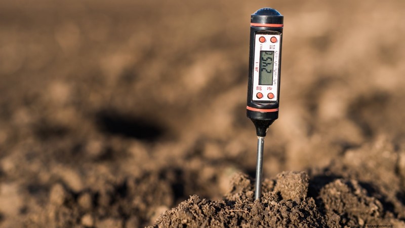 Zone7 Vegetable Gardening:En komplett nybörjarguide 