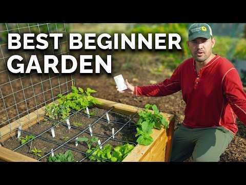 Zone7 Vegetable Gardening:En komplett nybörjarguide 