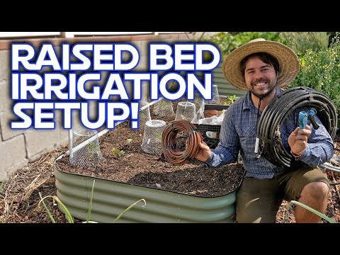 Zone7 Vegetable Gardening:En komplett nybörjarguide 
