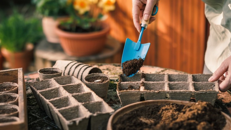 Zone7 Vegetable Gardening:En komplett nybörjarguide 