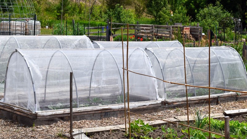 Zone7 Vegetable Gardening:En komplett nybörjarguide 