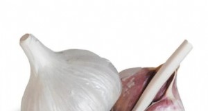 Comment cultiver, entretenir et conserver l ail blanc allemand à col raide - Un guide complet 
