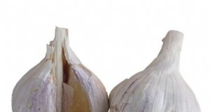 Music Hardneck Garlic:guida esperta per piantare, coltivare e prendersi cura 