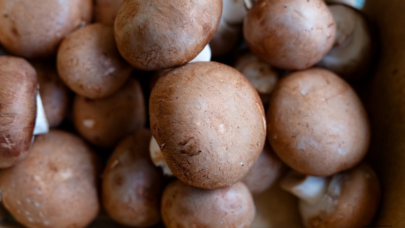 Kweek thuis verse champignons uit in de winkel gekochte stukken 