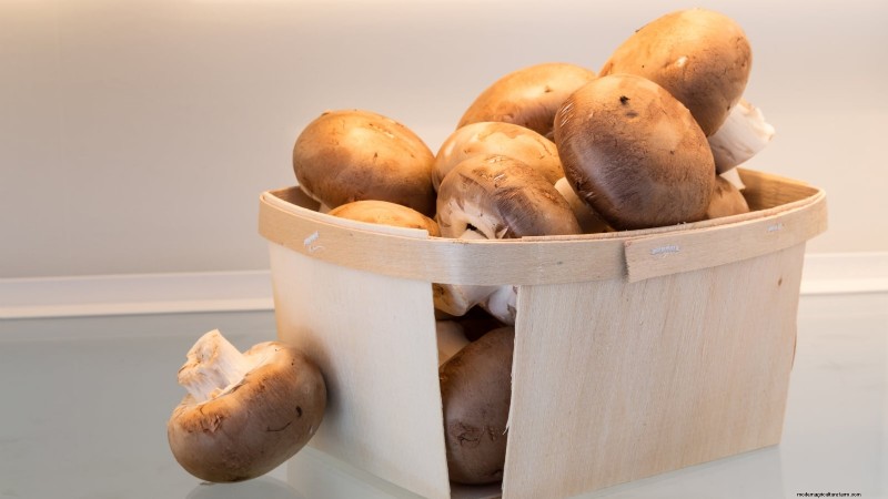 Kweek thuis verse champignons uit in de winkel gekochte stukken 