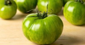 Expert Guide to Planting, Growing, and Caring for Green Zebra Tomatoes