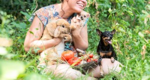 Tomato Plants: Are They Safe for Dogs and Cats?