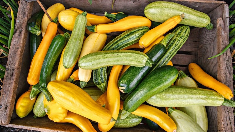 Guide d expert :Cultiver des courges dans des plates-bandes surélevées avec des conseils éprouvés 