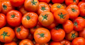 Plant, Grow, and Care for Award‑Winning Celebrity Tomatoes: A Complete Guide