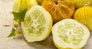 レモンキュウリの植え方、育て方、手入れ:エキスパートガイド 