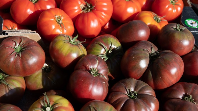 7 buitengewone tomatenrassen die uw tuin zullen transformeren 