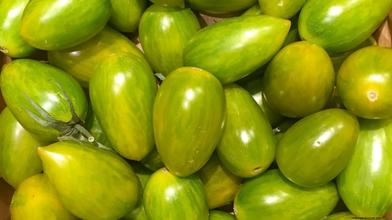 7 buitengewone tomatenrassen die uw tuin zullen transformeren 