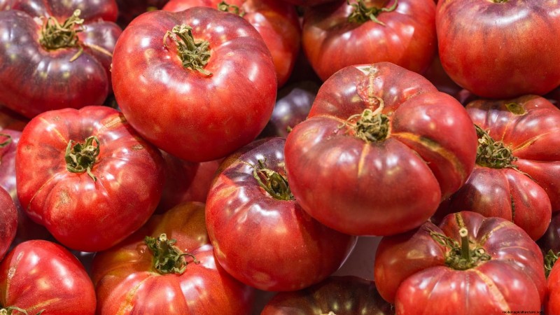 7 buitengewone tomatenrassen die uw tuin zullen transformeren 
