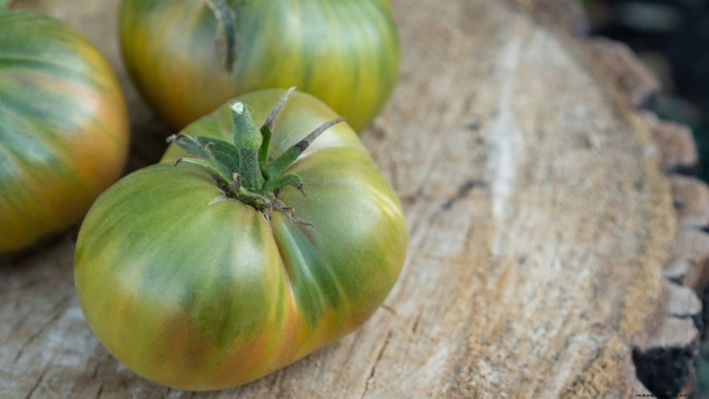 7 buitengewone tomatenrassen die uw tuin zullen transformeren 