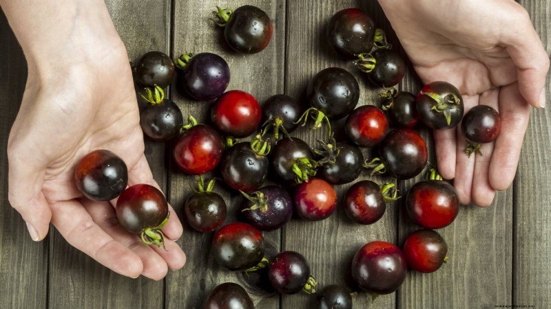 7 buitengewone tomatenrassen die uw tuin zullen transformeren 