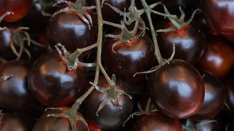 7 buitengewone tomatenrassen die uw tuin zullen transformeren 