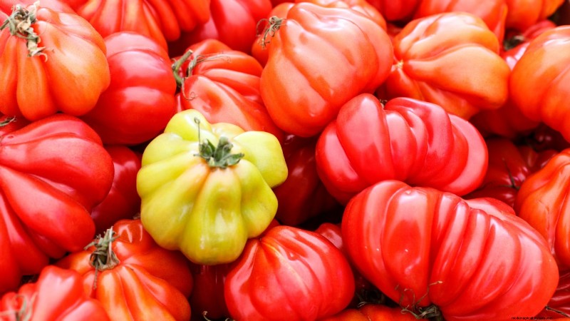 7 buitengewone tomatenrassen die uw tuin zullen transformeren 