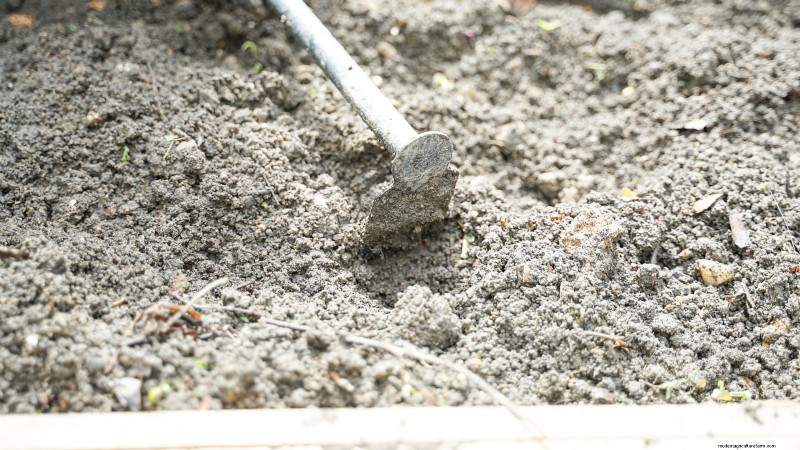 Vermijd deze 9 veelvoorkomende fouten in de moestuin in 2024 – deskundige tips voor succes 