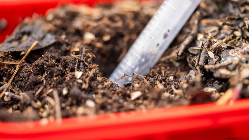 Vermijd deze 9 veelvoorkomende fouten in de moestuin in 2024 – deskundige tips voor succes 
