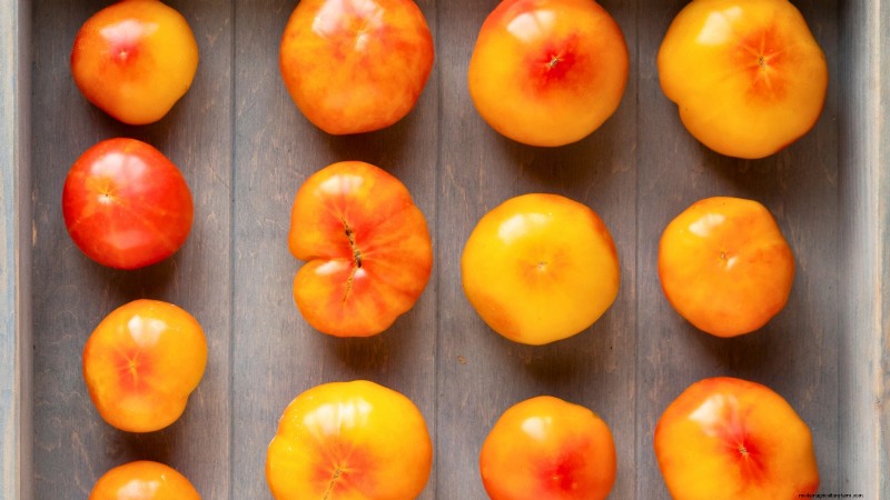 Ontdek 7 prachtige tomatenrassen die je niet mag missen
