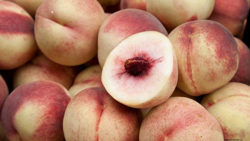 Top 9 des variétés de pêchers pour votre jardin 