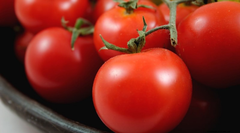 19 tomatenrassen uit het vroege seizoen voor een snelle oogst 