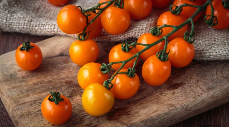 19 tomatenrassen uit het vroege seizoen voor een snelle oogst 