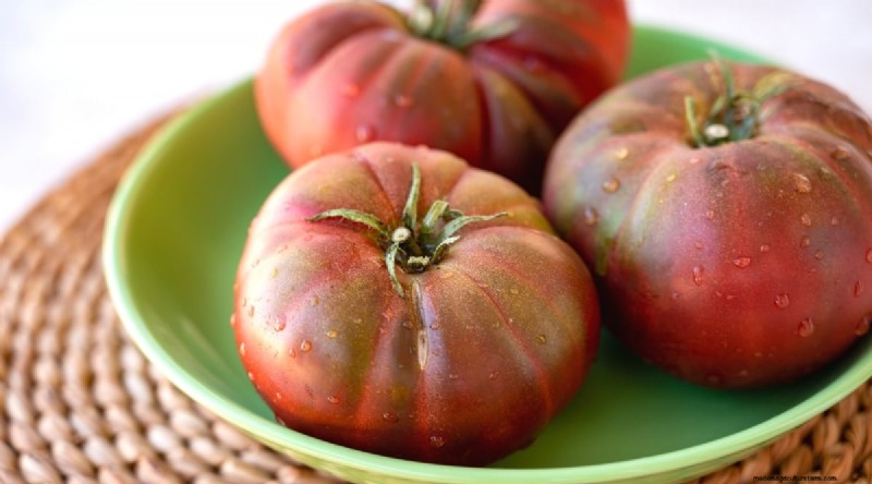 19 tomatenrassen uit het vroege seizoen voor een snelle oogst 