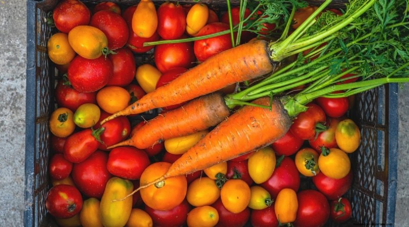 Tomaten en wortelen:een bewezen partnerplantpaar 