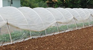 Tunnel Caterpillar a basso costo:una soluzione collaudata e versatile per l estensione della stagione 