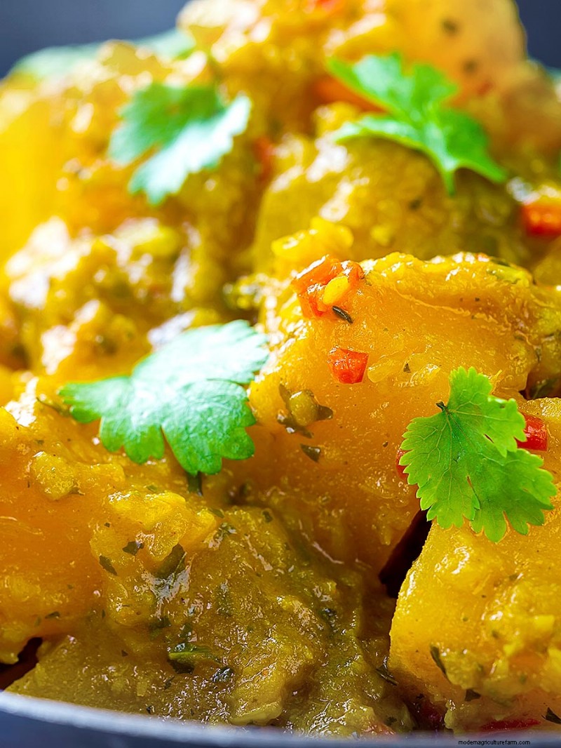 Autentisk burmesisk pumpacurry med mynta och tamarind – snabbt, veganskt och smakrikt 