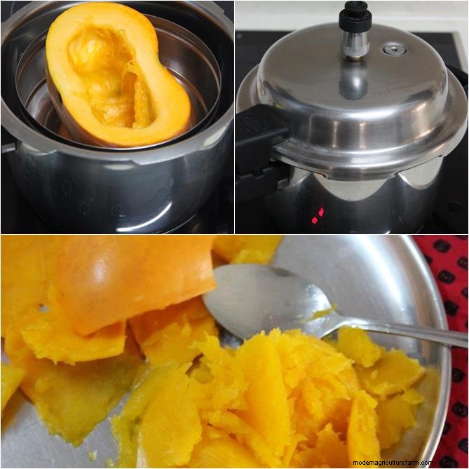 Kaddu ka Halwa:A Classic Pumpkin Sweet Delight 