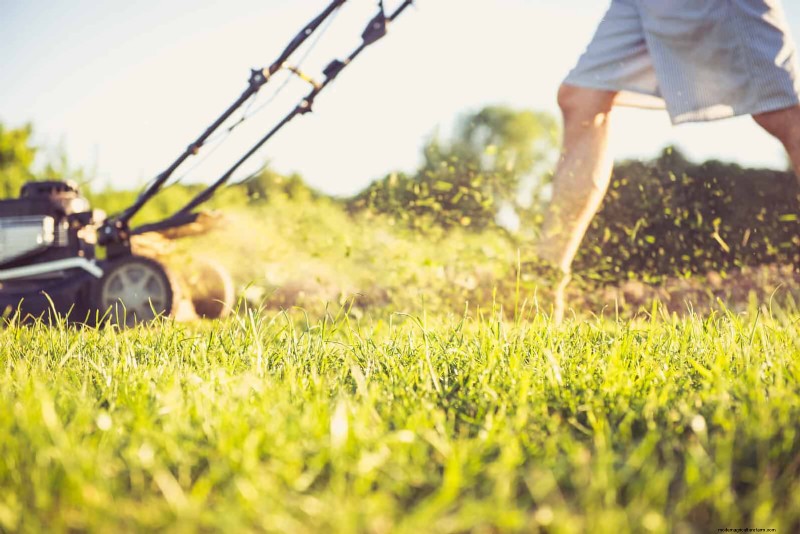 あなたの庭に関する HOA レターを引き起こす可能性のある 12 の危険信号 