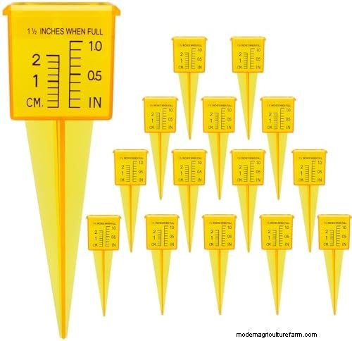 Évitez les dommages à la pelouse en août :11 correctifs d’arrosage essentiels pour juin 