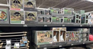 アルディ ガーデンで見つけたトップ 21:手頃な価格、スタイリッシュ、そして季節の必需品 