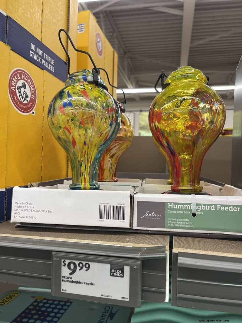 Top 21 des trouvailles de jardin Aldi :des incontournables abordables, élégants et saisonniers 