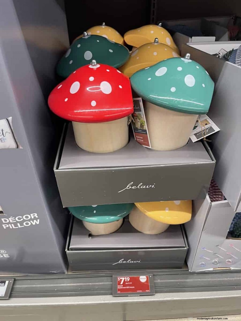 Top 21 des trouvailles de jardin Aldi :des incontournables abordables, élégants et saisonniers 