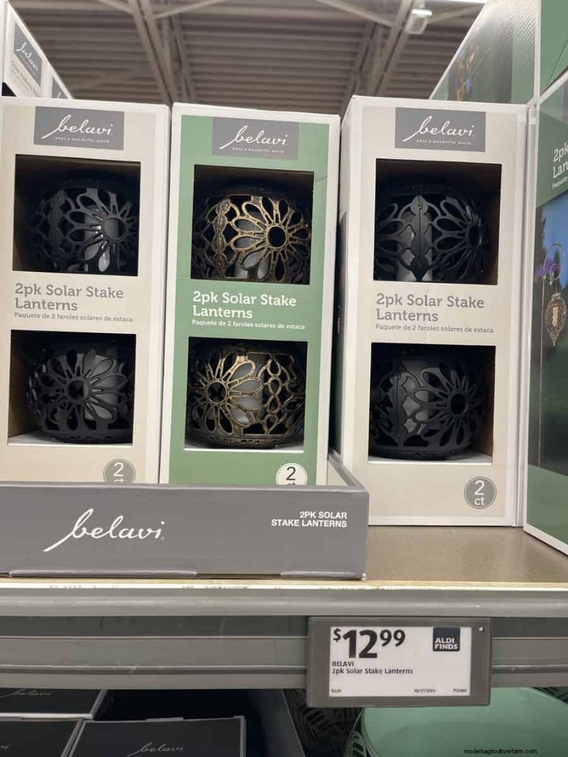 Top 21 des trouvailles de jardin Aldi :des incontournables abordables, élégants et saisonniers 
