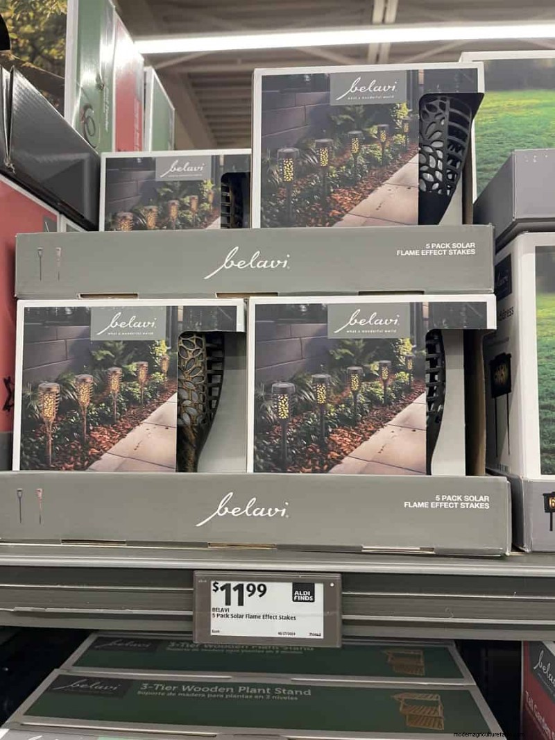 Top 21 des trouvailles de jardin Aldi :des incontournables abordables, élégants et saisonniers 