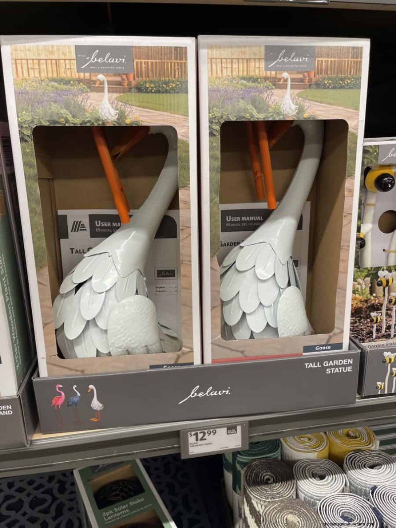 Top 21 des trouvailles de jardin Aldi :des incontournables abordables, élégants et saisonniers 