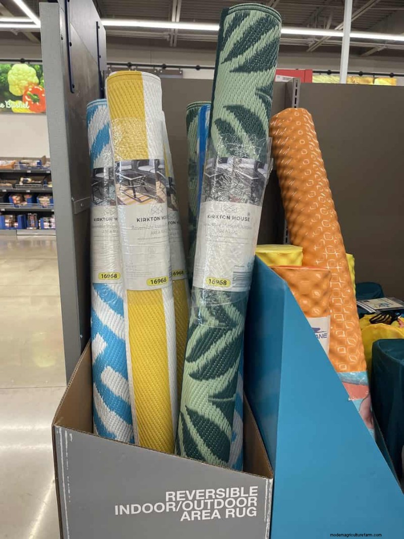 Top 21 des trouvailles de jardin Aldi :des incontournables abordables, élégants et saisonniers 