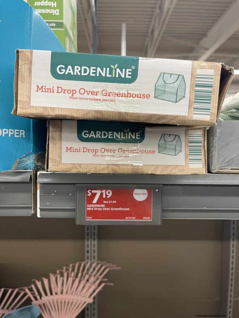 Top 21 des trouvailles de jardin Aldi :des incontournables abordables, élégants et saisonniers 