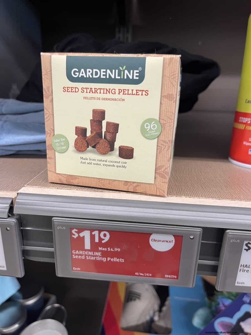 Top 21 des trouvailles de jardin Aldi :des incontournables abordables, élégants et saisonniers 