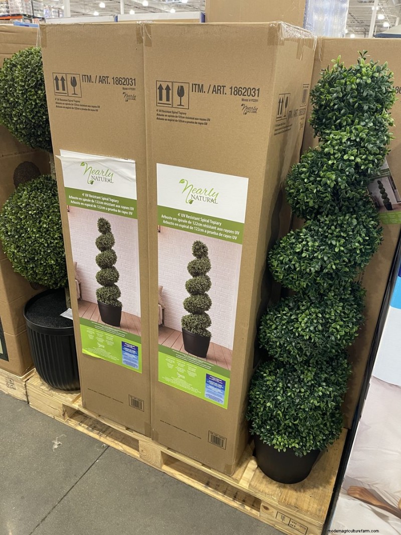 Trouvailles de jardin Costco 2026 :18 articles et prix incontournables 