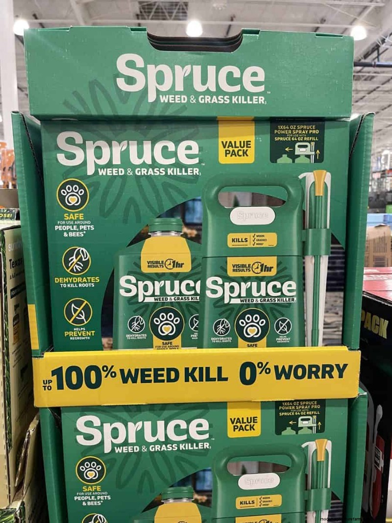 Trouvailles de jardin Costco 2026 :18 articles et prix incontournables 